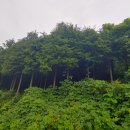 운림산방안내소 이미지