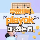 대국컴퓨터 | 무료바둑 playok 이용방법, 설치·가입 없이 전 세계 유저와 바로 대국하는 법