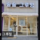 솜솜 애견미용 이미지