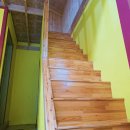 태기산아침의새소리 이미지