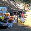 쉬리농장 이미지