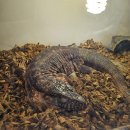 수달앤쥬 이미지