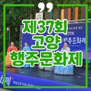 장대태권도 | 🎊2025 제37회 고양 행주문화제🎊