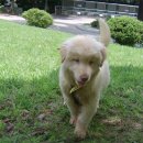 달성공원관리사무소 이미지