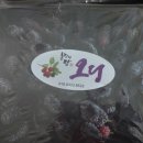 훈장님팜 이미지