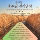 호수길걷기명상 이미지