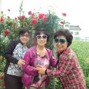 봉황초등학교 이미지