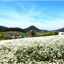 장산도