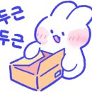 래쉬핏(Lash Fit)