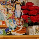 이동수 | 수유 궁안대신 2026 신년운세, 사주 없이 이직운과 이동수 맞춘 후기