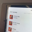 차오제주 | 제주 서귀포 신시가지 중식 맛집 웍스터 제주서귀포 후기