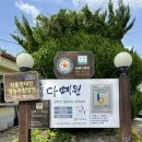 장흥청태전 영농조합법인 | [전남 | 장흥] 할건 하면서 잘놀고 잘먹는 위위의 장흥기행-8 (로컬픽) 청태전 편