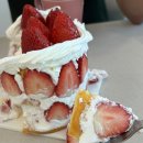 지당 | 용인 수지 &lt;수지당 딸기 케이크&gt; 내돈내산 후기