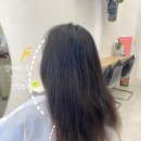 Heina(헤이나)