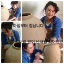 천년보리