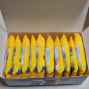 주식회사글로벌펫 이미지