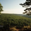 (주)에스건설 이미지