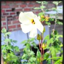 용문목장 이미지