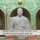 식송 이미지
