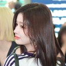 개예쁨 이미지