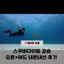 펄다이버 | 보홀 스쿠버다이빙 강습후기 오픈워터 / 어드 자격증 가격 내돈내산