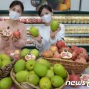 청계산로1-20 이미지