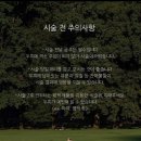 일상일기 1월 마지막주_ 방화수산종합어시장, 데이뷰의원, 청년순대국 짤막후기