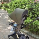 젠오토 | 리안 젠 트라이크 내돈내산 후기