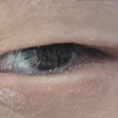 충주성모안과의원 이미지