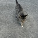 블루밸리골프연습장 이미지