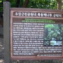 우장산둘레길 이미지