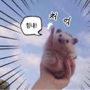 메인 휘트니스 백마점 이미지