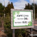 영농조합법인삶의벗탐라차 이미지