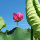 도현이네 농장 이미지