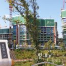 별내동 샛별초교 ~ 푸르지오아파트 사이도로 | 별내 푸르지오 10월 공사현장 - 별내 아파트매매, 별내푸르지오 분양권전문상담