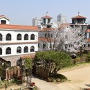 석화꽃무지풀무지유치원 이미지