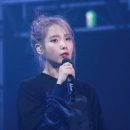 레드퀸헤어
