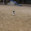 역곡초등학교 이미지