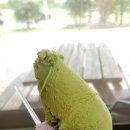 경식목장 Daum카페