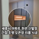 마곡수명푸르넷에듀 | 세종시 아파트 현관 간접 조명 오픈장으로 신발장 리폼 시공