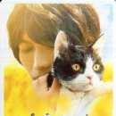 CGV소풍 7관 이미지