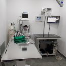 오룡 동물병원 이미지