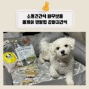 엠(m)덴탈 | 소형견간식 바우보울 올케어 덴탈껌 강아지간식 저알러지라 좋아요