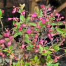 이병철농장 이미지