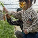 세곡농장 이미지