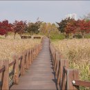 갈대습지공원 이미지