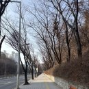 서홍마트 - 서귀포시 홍중로 52 | 서홍마트