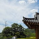 플랜비스튜디오경남양산 | 양산 화제 한옥스튜디오 소규모 돌잔치 후기 / 양산 돌상대여 엘프로젝트