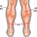 몸짱만들기 GYM 이미지