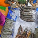 해물수산 | 노량진맛집 노량진수산시상 태성수산 싱싱한 해물탕 재료 양 많은 후기 (해물라면)